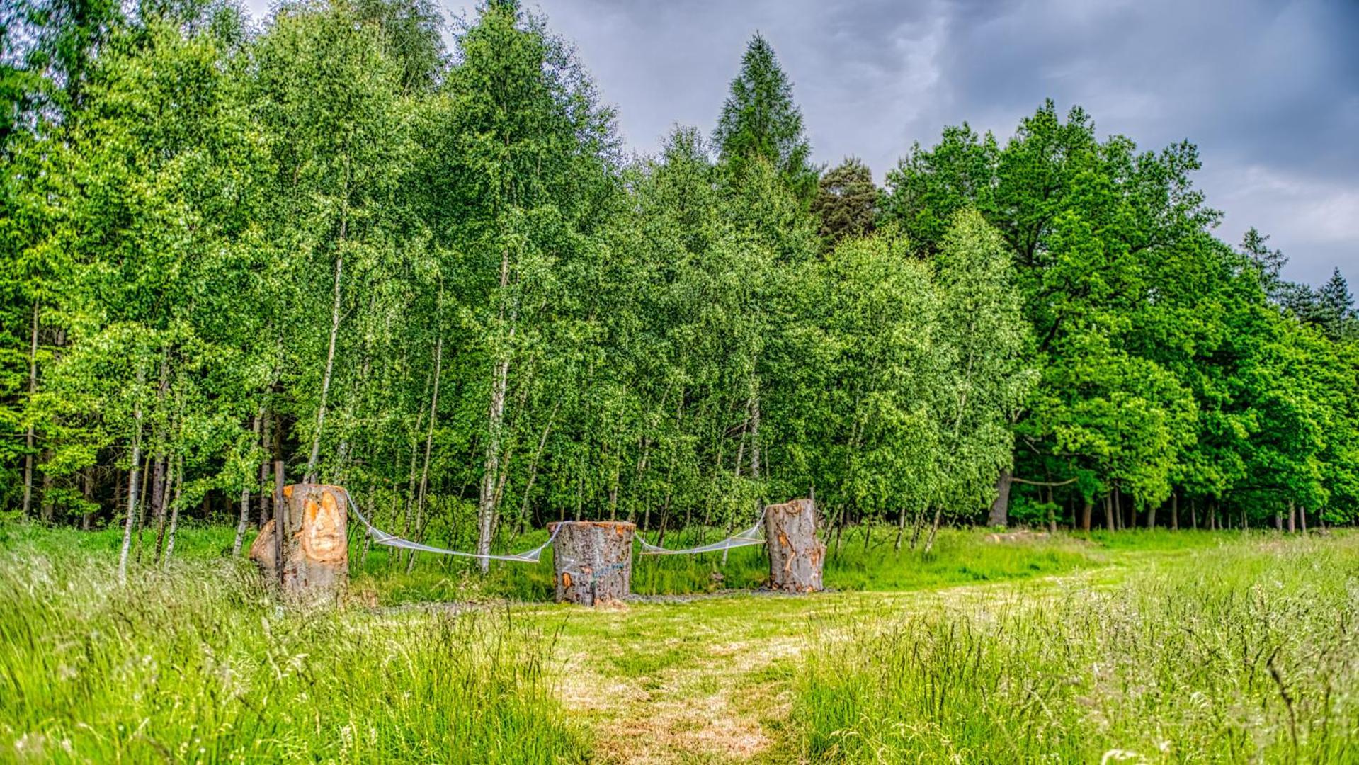 Izerska Baza - Basen, Ebike, Narty, Sauna, Jacuzzi, Las Blisko Swieradow Zdroj - 5D Apartamenty Giebultow  Exterior foto